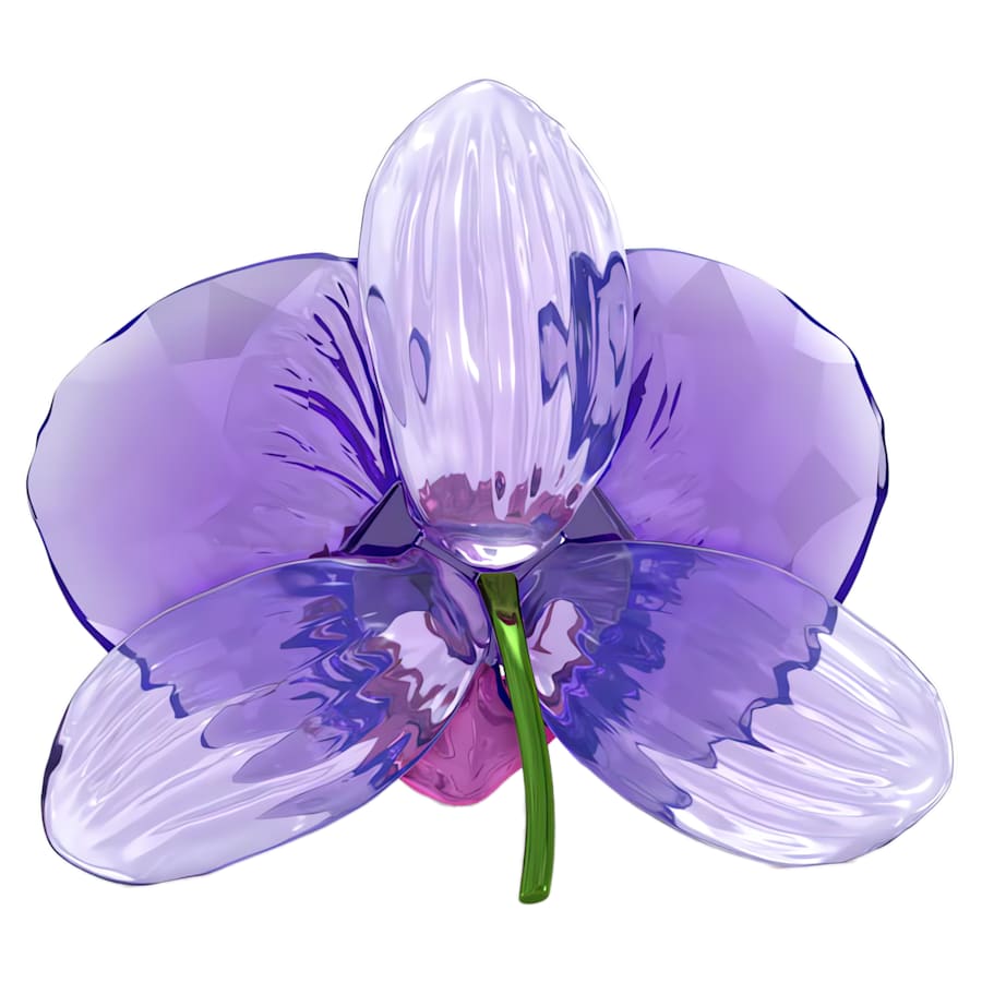 Idyllia SCS Petalo di Orchidea