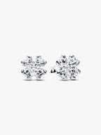 Orecchini Quadrifoglio Luminoso Argento Sterling 925