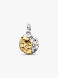 Charm Medallion Acquario Argento Sterling 925, Esclusiva lega metallica rifinita in Oro