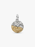 Charm Medallion Ariete Argento Sterling 925, Esclusiva lega metallica rifinita in Oro
