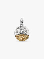 Charm Medallion Leone Argento Sterling 925, Esclusiva lega metallica rifinita in Oro