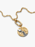 Charm Medallion XL Acquario "Omnia Mutantur" Argento Sterling 925, Esclusiva lega metallica rifinita in Oro