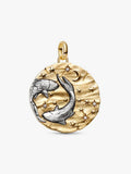 Charm Medallion XL Pesci "Memento Somniare" Argento Sterling 925, Esclusiva lega metallica rifinita in Oro
