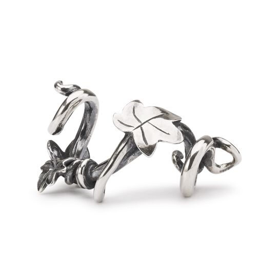 Abbraccio della Natura