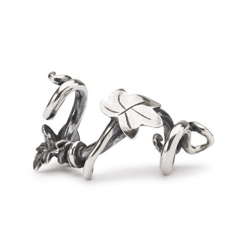 Abbraccio della Natura