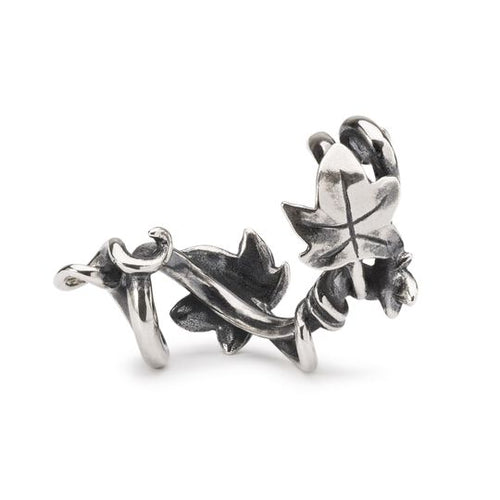 Abbraccio della Natura