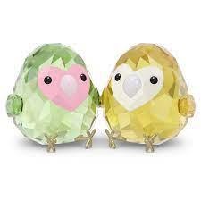 All you Need are Birds Coppia di Inseparabili
