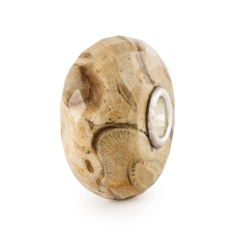 Beads Legno Fossile