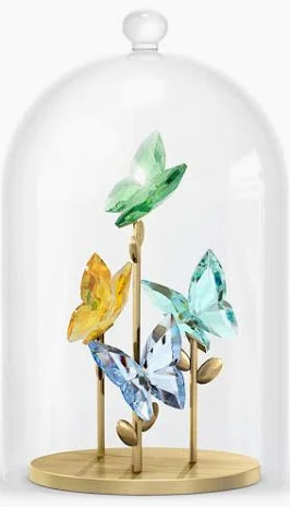 Campana di Vetro Farfalla - DECORAZIONI E ORNAMENTO