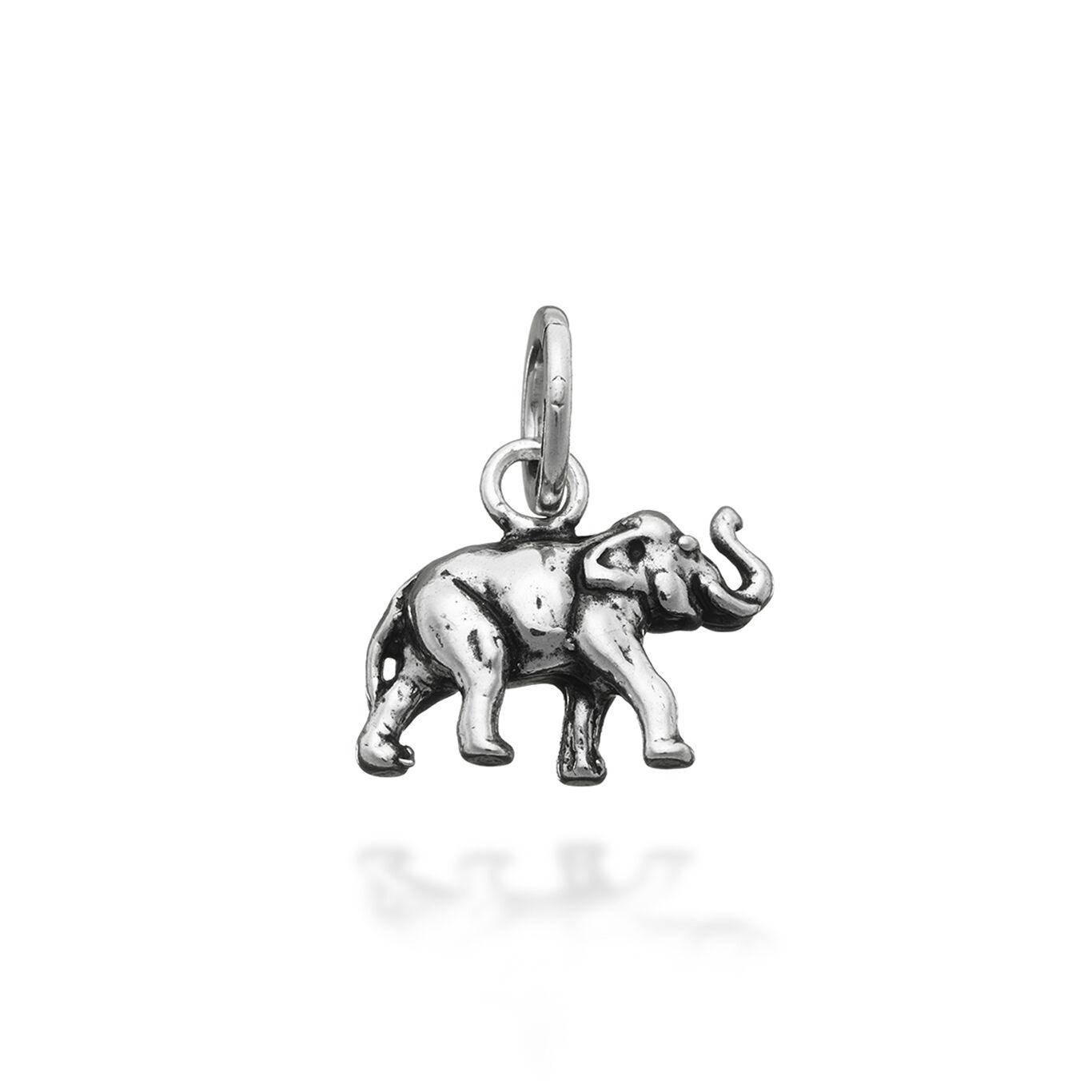 Charm Elefante