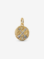 Charm Medallion Frecce ’Ad Meliora’ Argento Sterling 925 Placcatura in Oro 14k - CHARM