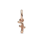Charm pendente Alfabeto con lettera f