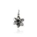 Charms Narciso