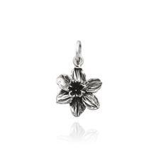 Charms Narciso