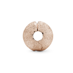 Clip Romantico Splendore