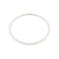 Collana Matrix Crystal Pearl Bianca Placcato rodio - COLLANA