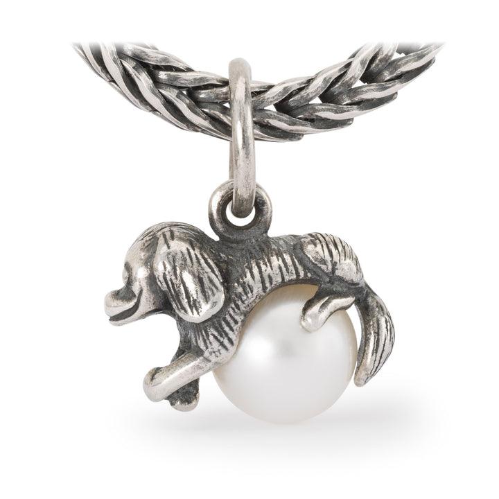 Conforto Incondizionato - BEADS