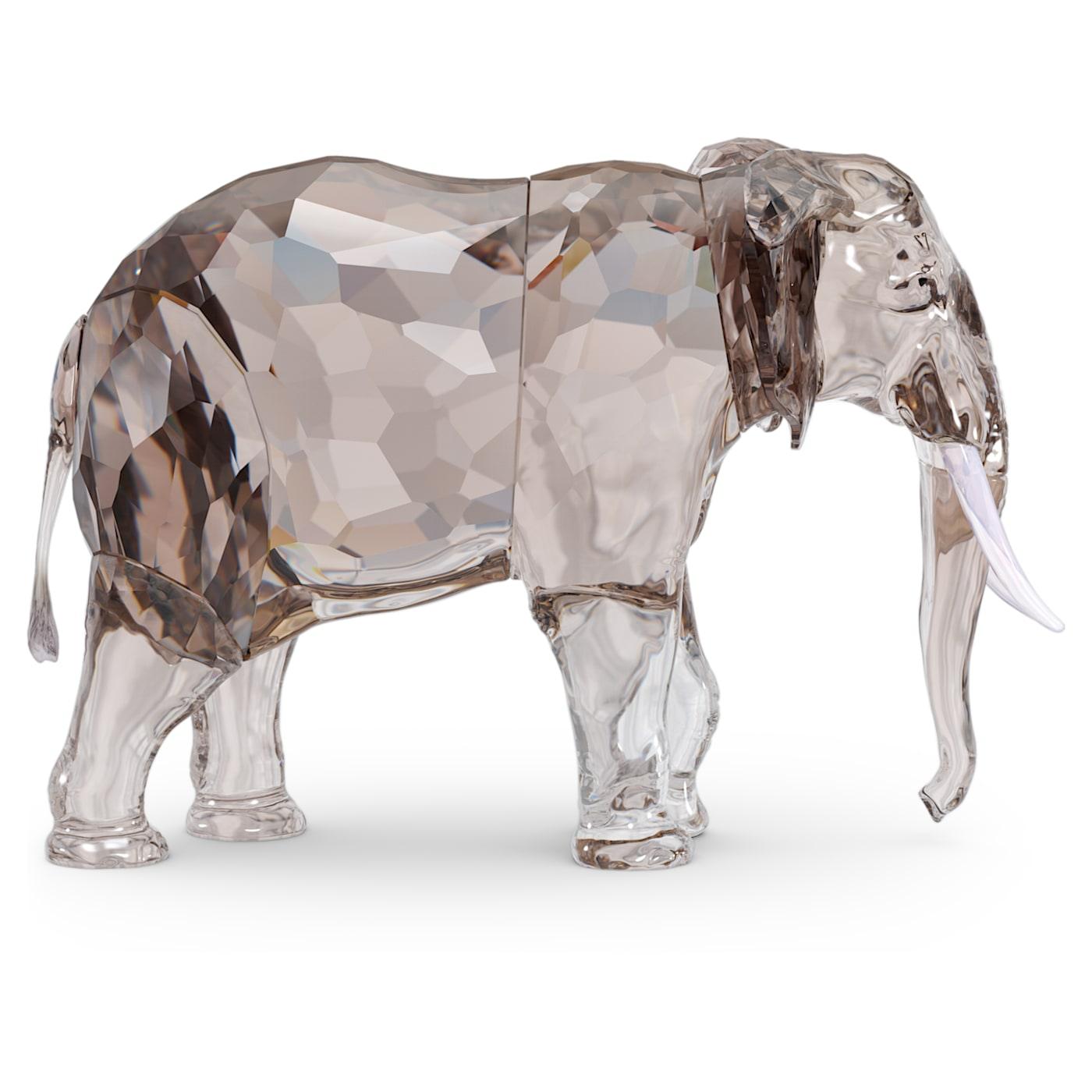Elegance of Africa SCS Edizione Annuale 2022 Elefante Fayola