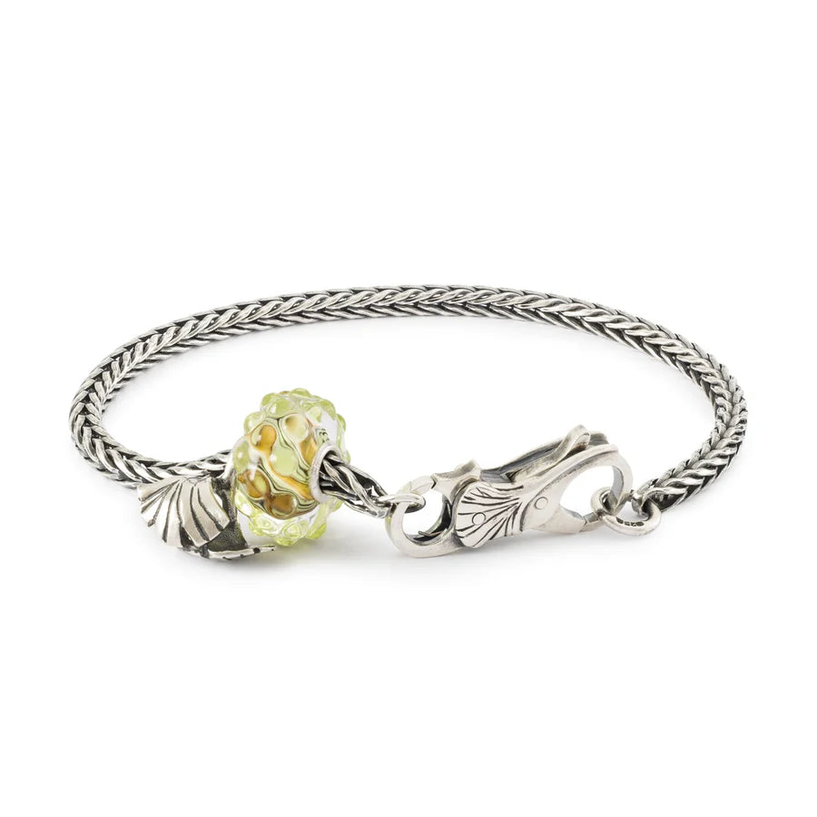 Trollbeads Bracciale Start Eterna Giovinezza