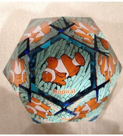 FERMACAERTE SWAROVSKI