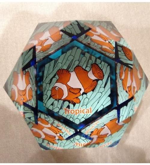 FERMACAERTE SWAROVSKI