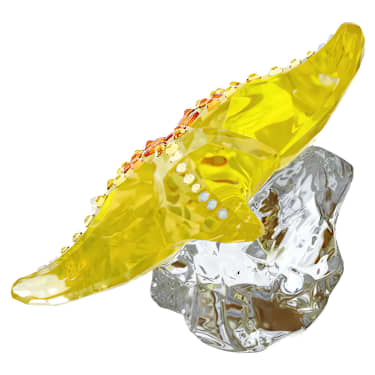 Idyllia SCS Stella Marina - OGGETTISTICA