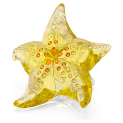 Idyllia SCS Stella Marina - OGGETTISTICA