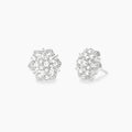 Orecchini Fiore in Argento con Zirconi