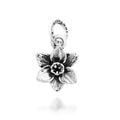 Charm Narciso Piccolo Argento