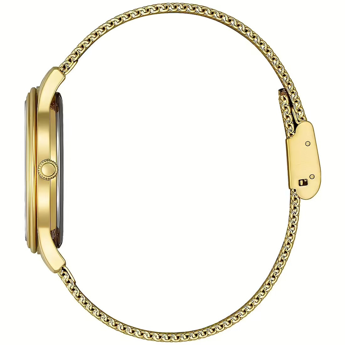 Orologio Donna Citizen OF Collection Eco-Drive in Acciaio Laminato - EM1222-87A