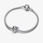 Marvel, Guardiani della Galassia, Scudo dei Guardiani