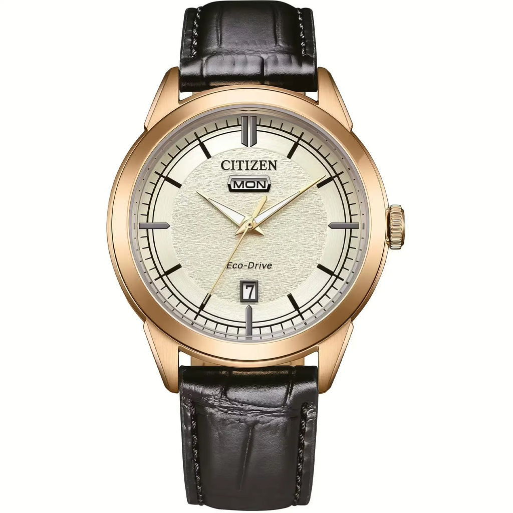 Orologio Citizen Eco-Drive AW0153-04A – OF Collection 2026 – Acciaio IP Oro e Pelle - OROLOGIO