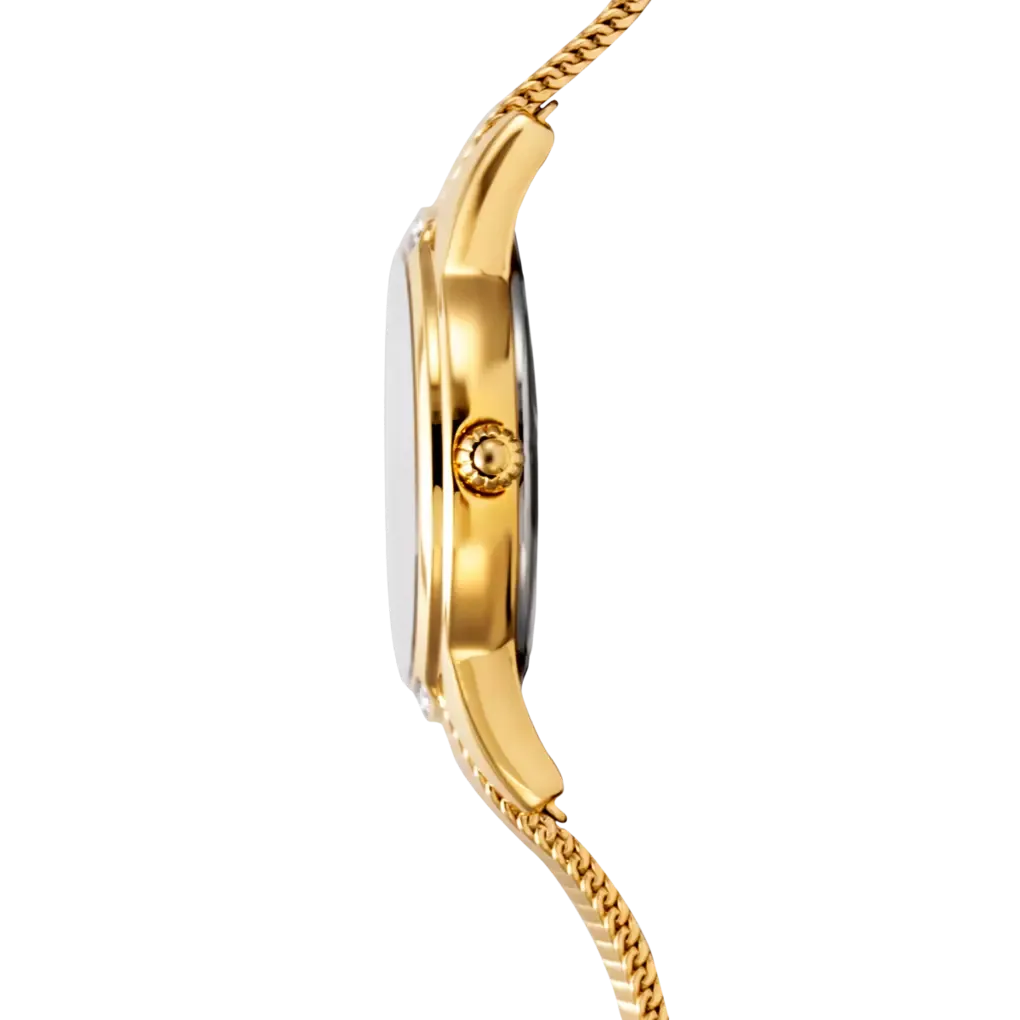 Orologio Donna Festina Mademoiselle F20495/1 Argento e Zirconi con Cinturino in Acciaio - OROLOGIO