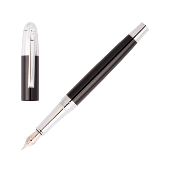 Penna Festina Nera a Piuma