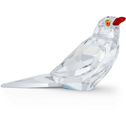 Swarovski Crystal Living