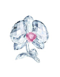 Swarovski Orchidea decorazione