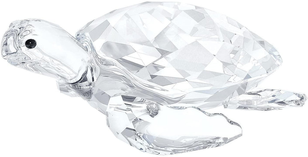 Tartaruga Marina, Cristallo, Trasparente,