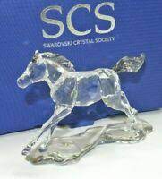 La SCS Edizione Annuale 2014