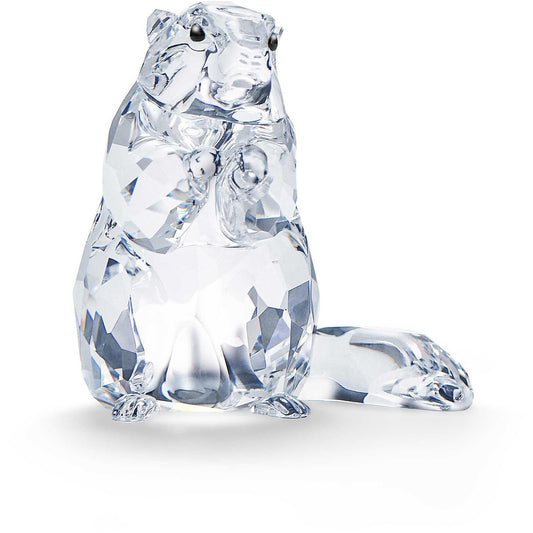 oggettistica Swarovski Crystal Living